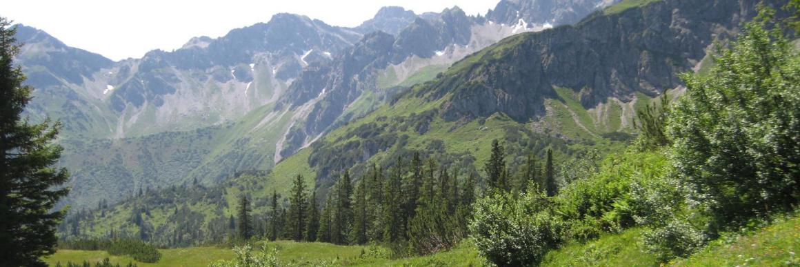 Bildung versetzt Berge! Röder Training